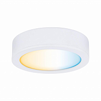 Купить Мебельный светодиодный светильник Paulmann Clever Connect Disc 99952 в Туле