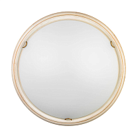 Купить Настенно-потолочный светодиодный светильник Sonex Snok Provence 7605/DL в Туле