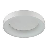 Купить Потолочный светодиодный светильник Odeon Light L-vision Sole 4062/50CL в Туле