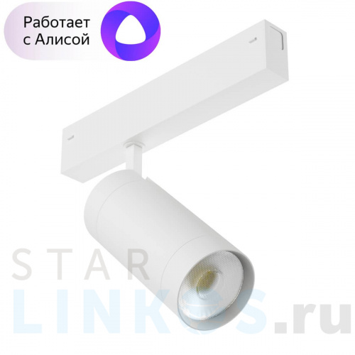Купить с доставкой Трековый светильник Denkirs Smart DK8020-WH в Туле фото 2