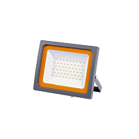 Купить Прожектор светодиодный Jazzway PFL-SС 150W 6500K 5005167 в Туле