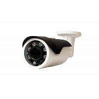 Купить Видеокамера IP OPTIMUS IP-E012.1(2.8-12)PE в Туле