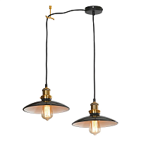 Купить Подвесной светильник Lussole LOFT GLEN COVE LSP-9604-2 в Туле