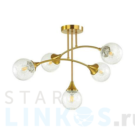 Купить Потолочная люстра Lumion Moderni Yoko 4558/5C за 10 800 руб. в Туле фото 2 Купить с доставкой Потолочная люстра Lumion Moderni Yoko 4558/5C в Туле фото 2