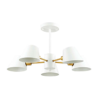 Купить Потолочная люстра Lumion Moderni Kenia 4465/5C в Туле
