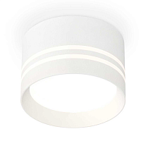 Купить Комплект накладного светильника Ambrella light Techno Spot XS (C8101, N8477) XS8101021 в Туле