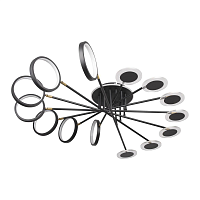 Купить Потолочная светодиодная люстра Loft IT Megan 10164L Black в Туле