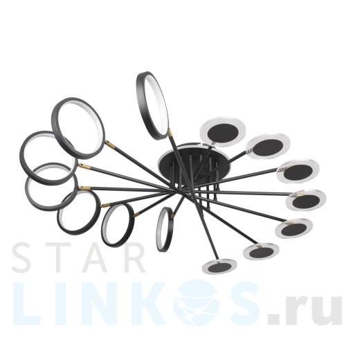 Купить Потолочная светодиодная люстра Loft IT Megan 10164L Black за 28 910 руб. в Туле Купить с доставкой Потолочная светодиодная люстра Loft IT Megan 10164L Black в Туле