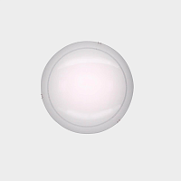 Купить Настенный светильник Citilux Лайн CL917081 в Туле