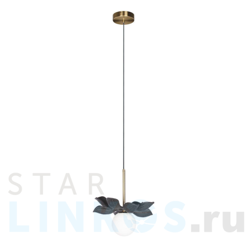 Купить Подвесной светильник Loft IT Monro 10213/B Black за 5 820 руб. в Туле Купить с доставкой Подвесной светильник Loft IT Monro 10213/B Black в Туле