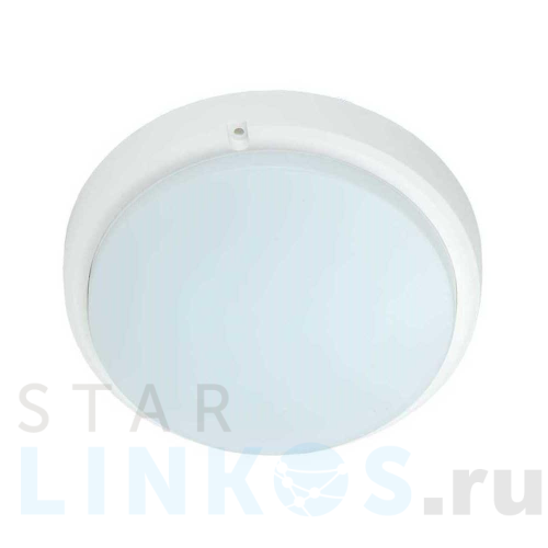 Купить с доставкой Настенно-потолочный светодиодный светильник IEK ДПО LDPO0-4006-12-6500-K01 в Туле