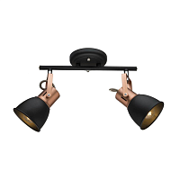 Купить Спот Arte Lamp A1677PL-2BK в Туле