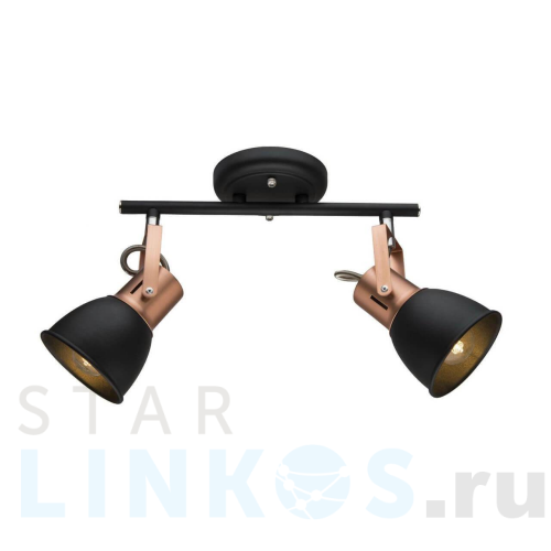 Купить Спот Arte Lamp A1677PL-2BK за 750 руб. в Туле Купить с доставкой Спот Arte Lamp A1677PL-2BK в Туле