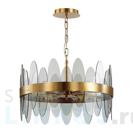 Купить Подвесная люстра Lumion Moderni Meredith 5268/6 за 22 620 руб. в Туле фото 2 Купить с доставкой Подвесная люстра Lumion Moderni Meredith 5268/6 в Туле фото 2