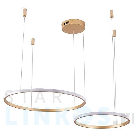 Купить Подвесной светильник Zortes RINGOLIGHT ZRS.33320.63F за 19 800 руб. в Туле фото 2 Купить с доставкой Подвесной светильник Zortes RINGOLIGHT ZRS.33320.63F в Туле фото 2