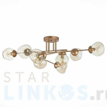 Купить Потолочная люстра Evoluce More SLE155702-08 за 13 720 руб. в Туле фото 2 Купить с доставкой Потолочная люстра Evoluce More SLE155702-08 в Туле фото 2