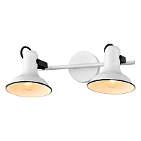 Купить Спот Lussole Loft Fargo LSP-8802 в Туле