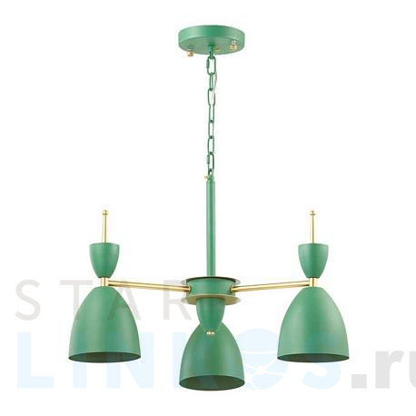 Купить Подвесная люстра Lumion Moderni Gemma 3785/3 за 10 800 руб. в Туле фото 2 Купить с доставкой Подвесная люстра Lumion Moderni Gemma 3785/3 в Туле фото 2