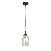 Купить Подвесной светильник Vitaluce V2962-1/1S в Туле