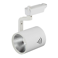 Купить Трековый светодиодный светильник ЭРА Trek TR1 - 30 WH Б0032099 в Туле