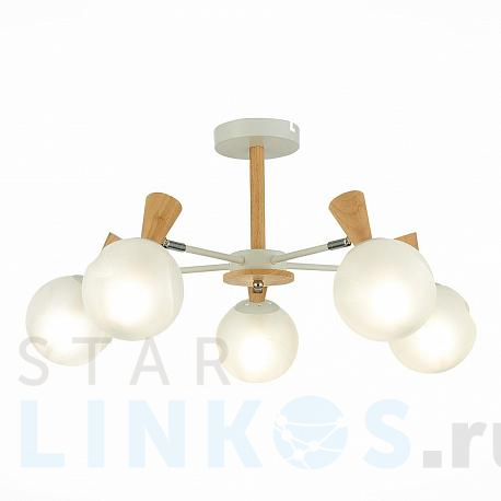 Купить Потолочная люстра Evoluce Catania SLE220702-05 за 11 330 руб. в Туле фото 2 Купить с доставкой Потолочная люстра Evoluce Catania SLE220702-05 в Туле фото 2