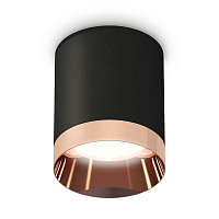 Купить Комплект потолочного светильника Ambrella light Techno Spot XC (C6302, N6135) XS6302025 в Туле