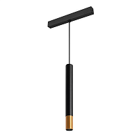 Купить Трековый светодиодный светильник Arlight Mag-Spot-Hang-25-R30-5W Day4000 034245 в Туле