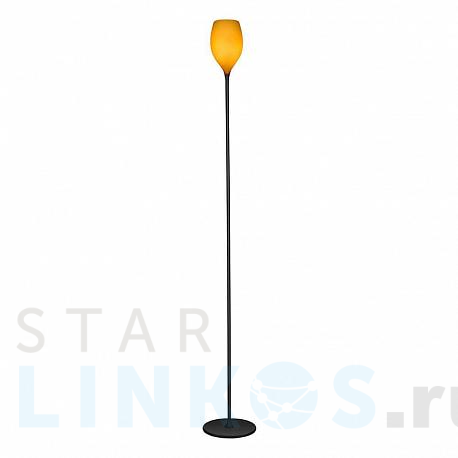 Купить Торшер Azzardo Izza AZ1078 за 45 680 руб. в Туле фото 2 Купить с доставкой Торшер Azzardo Izza AZ1078 в Туле фото 2