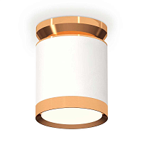 Купить Комплект накладного светильника Ambrella light Techno Spot XS (N8909, C8141, N8124) XS8141030 в Туле