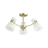 Купить Потолочная люстра Lumion Comfi Wilma 4535/3C в Туле