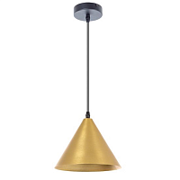 Купить Подвесной светильник Arte Lamp David A7033SP-1BK в Туле