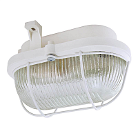 Купить Настенно-потолочный светильник TDM Electric Евро НБП 02-60-019.01 SQ0312-0007 в Туле