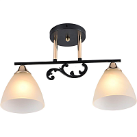 Купить Потолочный светильник Reluce 01278-0.3-02B BK+FGD в Туле