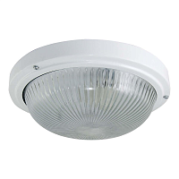 Купить Настенно-потолочный светильник TDM Electric НПП 03-100-002 SQ0311-0017 в Туле