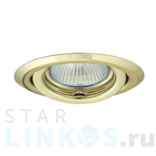 Купить с доставкой Точечный светильник Kanlux ARGUS CT-2115-YG 335 в Туле