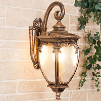 Купить Уличный настенный светильник Elektrostandard Andromeda D (GLYF-8024D) a027996 в Туле