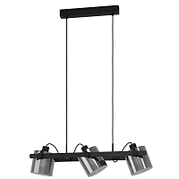 Купить Подвесная люстра Eglo Hornwood 2 43606 в Туле