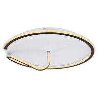 Купить Настенно-потолочный светодиодный светильник Globo Rodan 48439-50 в Туле