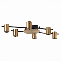 Купить Потолочная люстра ST Luce Veroli SL1207.402.06 в Туле