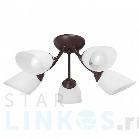 Купить Потолочная люстра Vitaluce V3404/5PL за 3 617 руб. в Туле фото 2 Купить с доставкой Потолочная люстра Vitaluce V3404/5PL в Туле фото 2