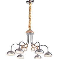 Купить Подвесная люстра Lucia Tucci Natura 064.6 LED в Туле