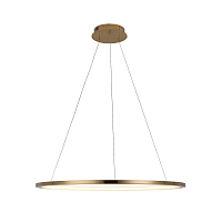 Купить Подвесной светодиодный светильник Loft IT Ring 10014L в Туле