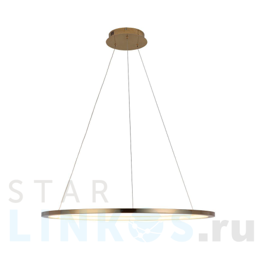 Купить Подвесной светодиодный светильник Loft IT Ring 10014L за 22 920 руб. в Туле Купить с доставкой Подвесной светодиодный светильник Loft IT Ring 10014L в Туле