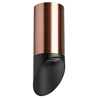 Купить Потолочный светильник Lightstar Rullo (214430+201437) R43037 в Туле