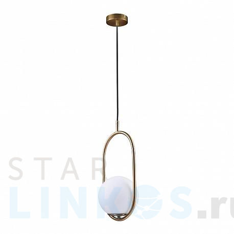 Купить Подвесной светильник Loft IT Glob LOFT2595-A за 5 740 руб. в Туле фото 2 Купить с доставкой Подвесной светильник Loft IT Glob LOFT2595-A в Туле фото 2