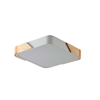 Купить Потолочный светильник Zortes ALBERRO ZRS.01285.48 в Туле