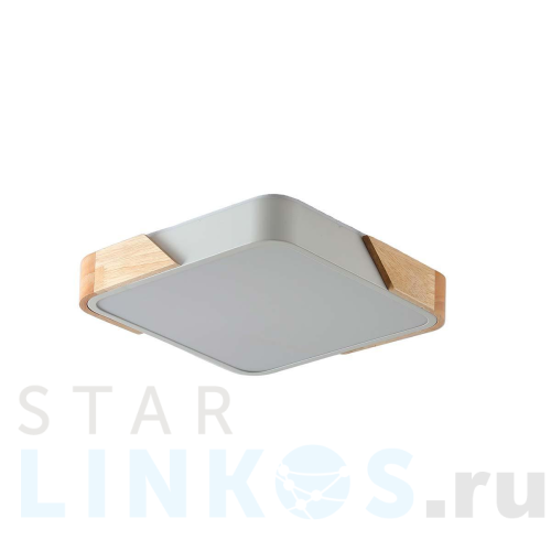 Купить с доставкой Потолочный светильник Zortes ALBERRO ZRS.01285.48 в Туле