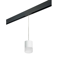 Купить Трековый светильник Lightstar Rullo (213486+595887+202481) PRORP348681 в Туле