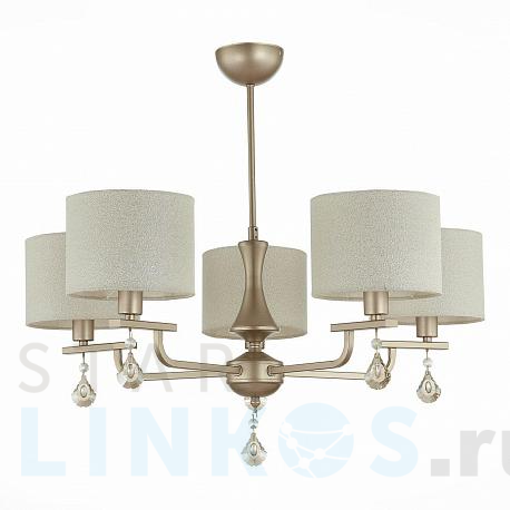 Купить Подвесная люстра Evoluce Elida SLE107703-05 за 13 640 руб. в Туле фото 2 Купить с доставкой Подвесная люстра Evoluce Elida SLE107703-05 в Туле фото 2