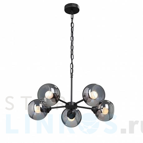 Купить Подвесная люстра Vitaluce V4482-1/5 за 7 310 руб. в Туле фото 2 Купить с доставкой Подвесная люстра Vitaluce V4482-1/5 в Туле фото 2